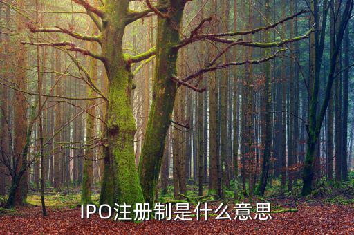 ipo注冊制是什么意思，IPO注冊制是什么意思和審批制有什么區(qū)別