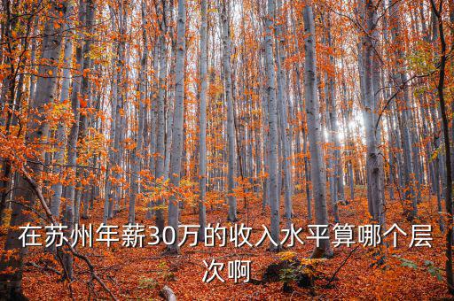 年薪三十萬元處于什么階層，在蘇州年薪30萬的收入水平算哪個層次啊