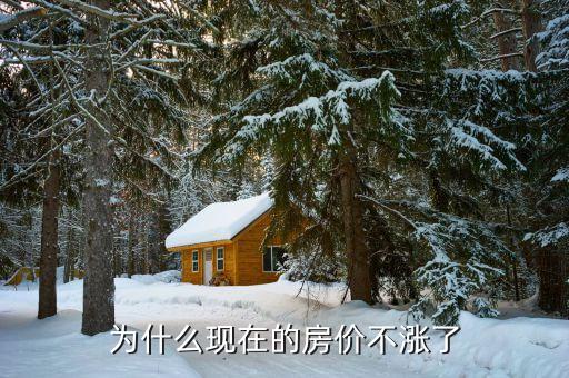 為什么房?jī)r(jià)漲不了了，為什么現(xiàn)在的房?jī)r(jià)不漲了
