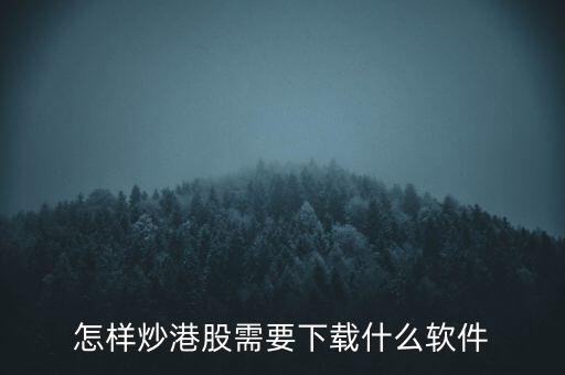 港股資金進出用什么軟件，現(xiàn)在內(nèi)地的炒股滬港通用什么軟件