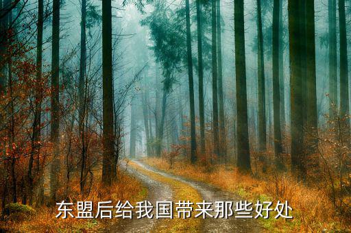 中國加入東盟有什么好處，東盟后給我國帶來那些好處