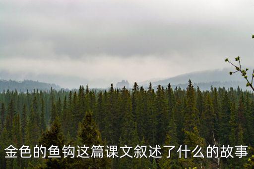 金這篇課文是一篇什么文，金子這篇課文使我們懂得了什么道理