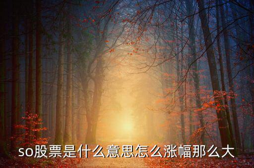 so股票是什么意思，股市上so開頭的是什么意思