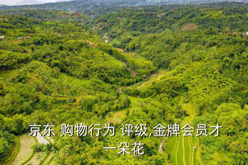 京東購物行為評(píng)級(jí)怎么看,購物行為評(píng)級(jí)越高成長值越多