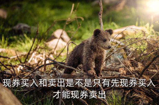 成交回報是什么，什么叫回報