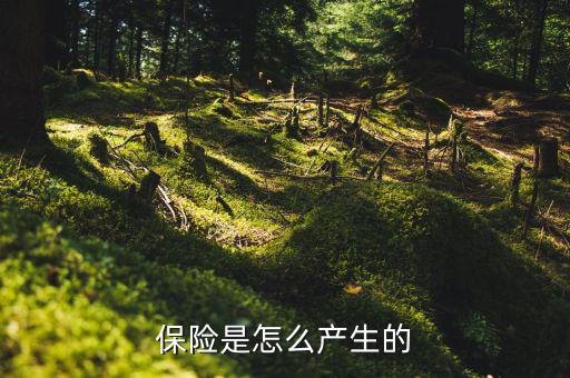保險(xiǎn)的原理是什么，保險(xiǎn)是怎么產(chǎn)生的