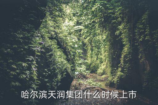 天潤乳業(yè)什么時候上市，哈爾濱天潤集團(tuán)什么時候上市