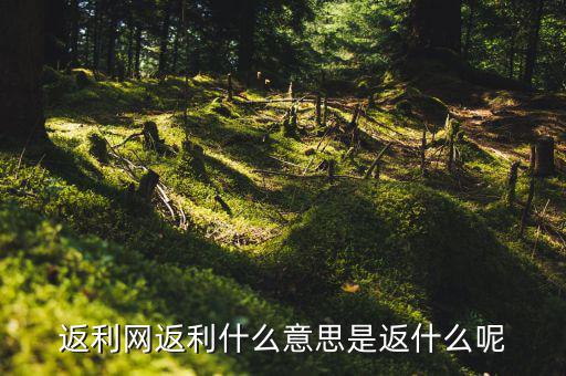 返傭網(wǎng)是什么意思，返傭網(wǎng)大概是什么意思