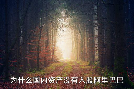 當(dāng)初為什么沒投阿里巴巴，為什么國內(nèi)資產(chǎn)沒有入股阿里巴巴