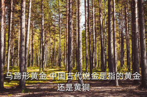中國(guó)古代的黃金是什么，古代中國(guó)都使用了哪些金屬