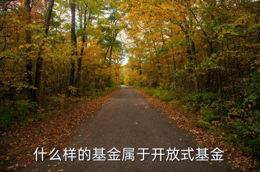 開放式基金是什么，什么叫做開放式基金