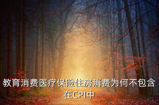 房價為什么不納入cpi，為什么在中國房價不算入CPI消費(fèi)水平也就是物價里面