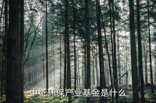 000711是什么基金，中證環(huán)保產(chǎn)業(yè)基金是什么