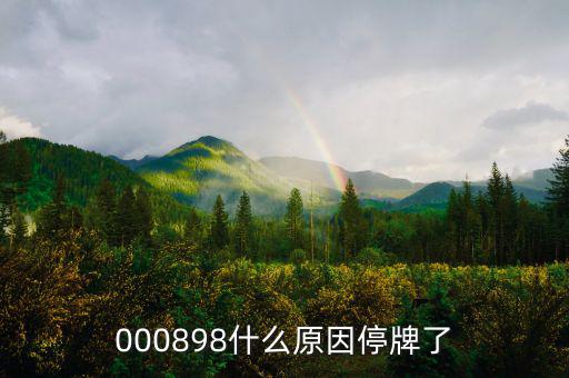 華資實業(yè)為什么停牌，000009今天為何停牌