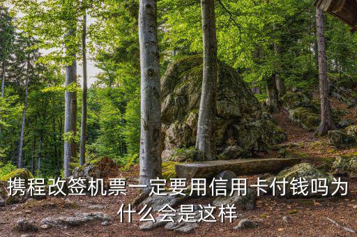 攜程為什么航班改簽，攜程訂了機票為什么不能改簽