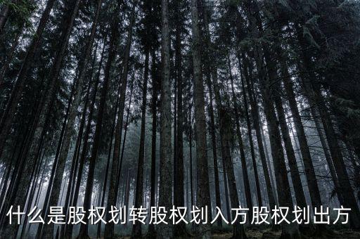 劃轉是什么意思，什么是股權劃轉股權劃入方股權劃出方