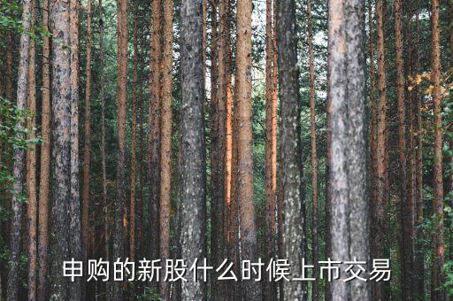 一般新股價(jià)什么時(shí)候出來(lái)，申購(gòu)的新股什么時(shí)候上市交易