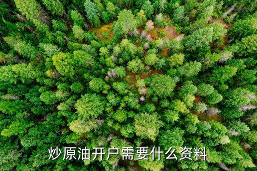 炒原油開戶需要什么，原油開戶需要哪些資料