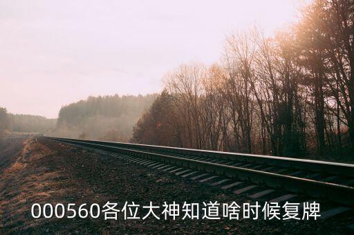 荃銀高科什么時候復牌，000560各位大神知道啥時候復牌