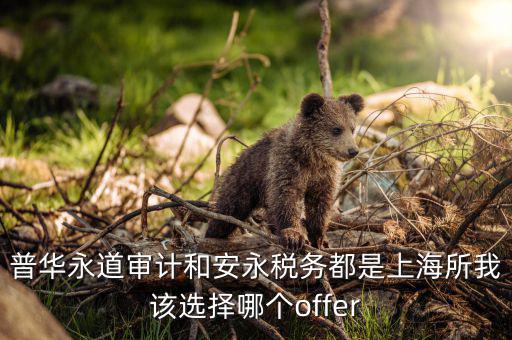 為什么選擇安永稅務(wù)，普華永道審計和安永稅務(wù)都是上海所我該選擇哪個offer