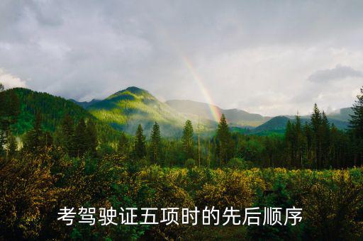 學駕駛五項進度什么安排的，考駕駛證五項時的先后順序