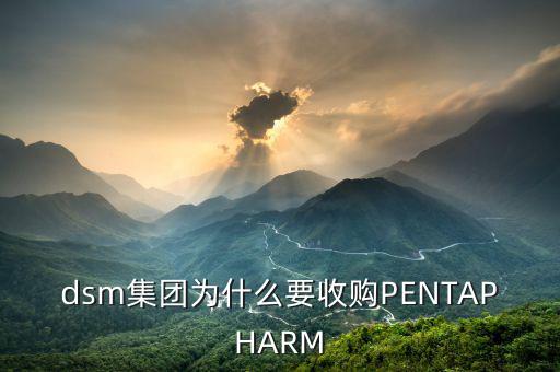 喜游國際被什么公司并購，DSM據(jù)說收購了一個特牛的公司是什么大家有知道的嗎