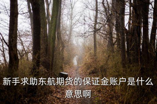 金保證財富管理和東航什么關(guān)系，國鼎旗下的可溯貸資金安全嗎