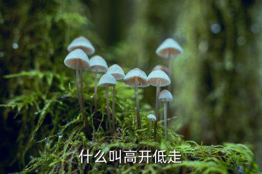 高開低走什么意思，低開高走什么意思