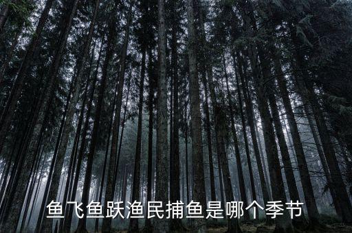 漁民捕魚一般是什么時(shí)候，魚飛魚躍漁民捕魚是哪個(gè)季節(jié)