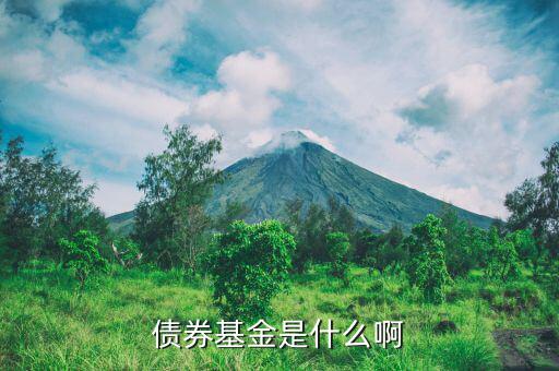什么叫信用債券基金，信用債是什么樣的基金在什么市場(chǎng)情況下收益率最大