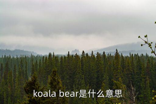 牛壓熊什么意思，tady bear是什么意思