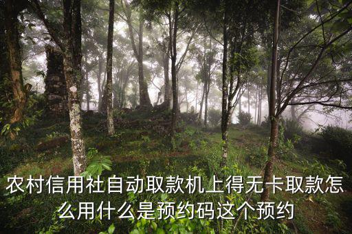 農(nóng)行預約碼是什么，農(nóng)商銀行預約取款預約碼是什么