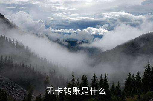 什么是無卡轉(zhuǎn)賬，什么叫無卡轉(zhuǎn)賬