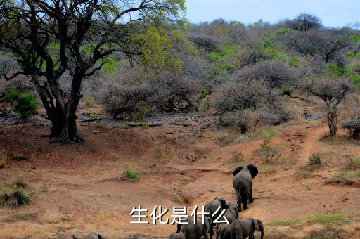 長安生化是什么呢，生化是指什么呀