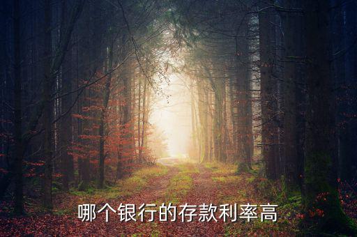 錢存什么銀行利息高，哪個銀行的存款利率高