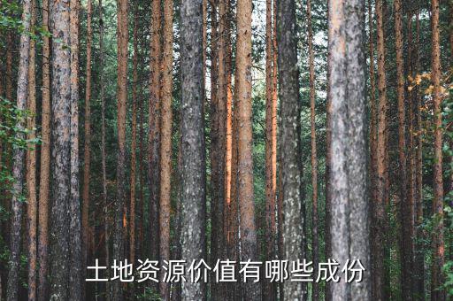 城市土地價(jià)值包括什么，土地竟得價(jià)值是什么意思