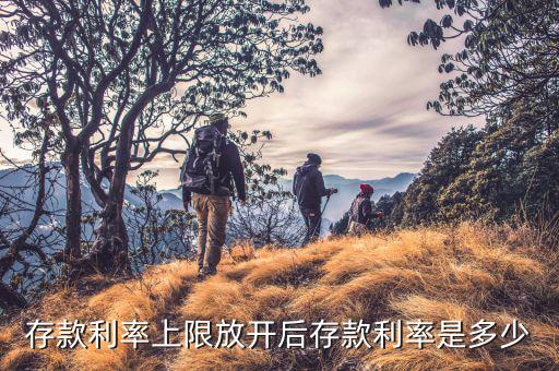 存款上限放開什么時(shí)候，各大商業(yè)銀行放開存款上限有什么政策
