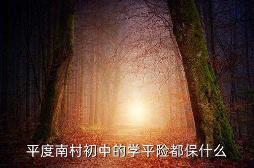 學(xué)平險(xiǎn)保些什么，中國人壽60元的學(xué)平險(xiǎn)保什么