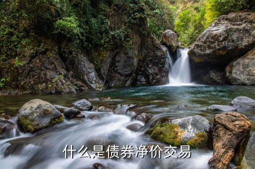 什么債券是凈價交易，什么是債券凈價交易