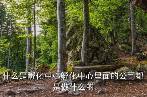 信隆實(shí)業(yè)是做什么的，什么是孵化中心孵化中心里面的公司都是做什么的