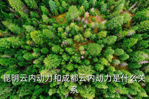 云南云內(nèi)動(dòng)力是什么性質(zhì)，什么是云內(nèi)發(fā)動(dòng)機(jī)