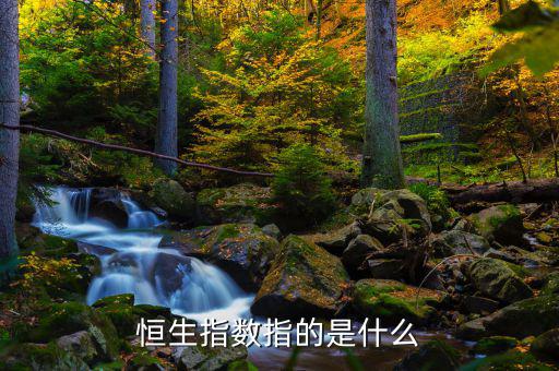 恒生指數(shù)是由香港什么編制的，恒生指數(shù)指的是什么