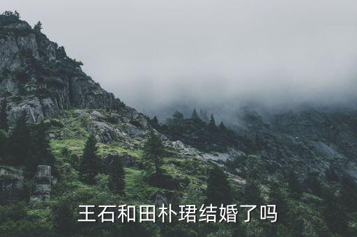 田樸B和王石什么時候認(rèn)識的，田樸珺是如何俘獲王石的我看她并不十分漂亮啊