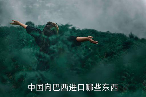 美國從巴西進(jìn)口什么，中國向巴西進(jìn)口哪些東西