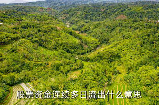 為什么一支股票連續(xù)幾月大單流出，股票資金連續(xù)多日流出什么意思