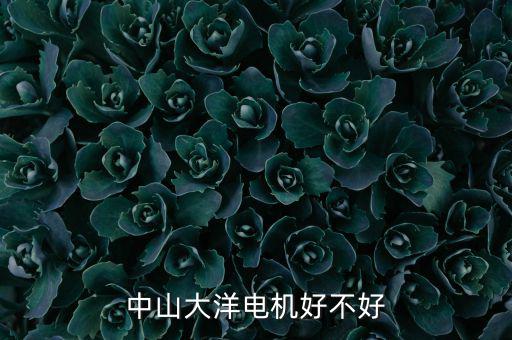 中山大洋電機屬于什么行業(yè)，中山大洋電機好不好