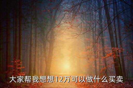 12萬(wàn)投資什么項(xiàng)目，投資十二萬(wàn)元能做什么呢
