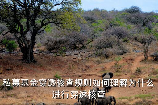基金的穿透是什么意思，私募基金合格投資者的穿透核查怎么理解