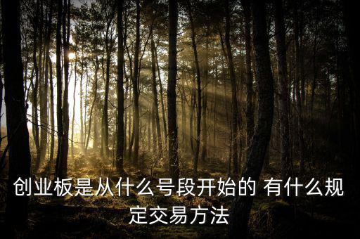 創(chuàng)業(yè)板什么開頭，創(chuàng)業(yè)板代碼什么數(shù)字開頭