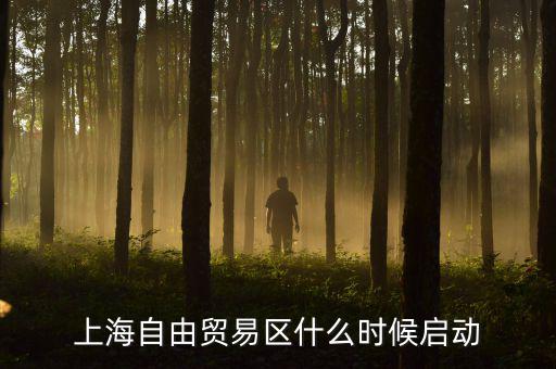 上海自貿(mào)區(qū)什么時候開放，上海自由貿(mào)易區(qū)什么時候啟動